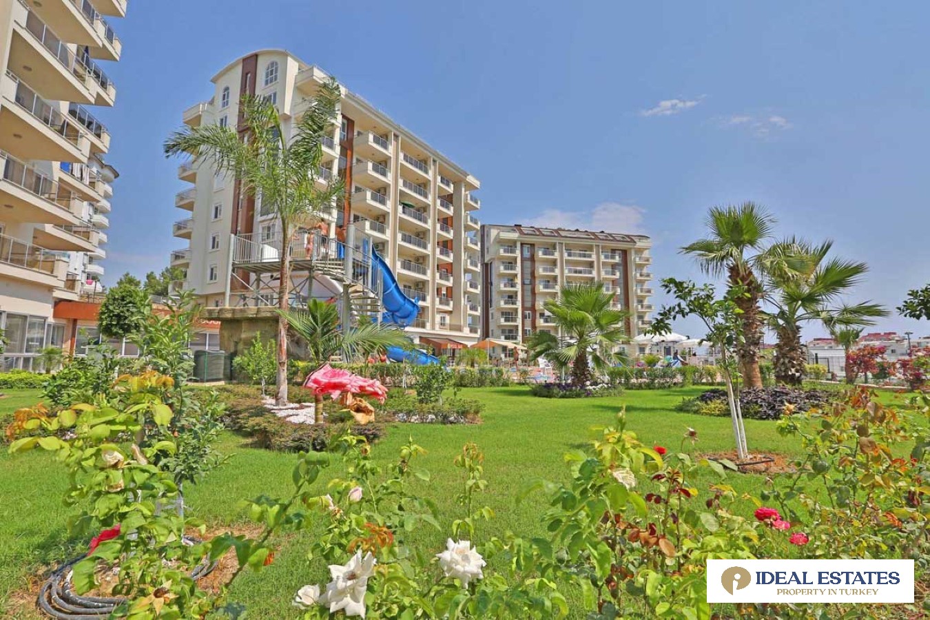 Fully Furnished Studio-Hot Offer!